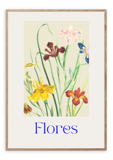 Flores