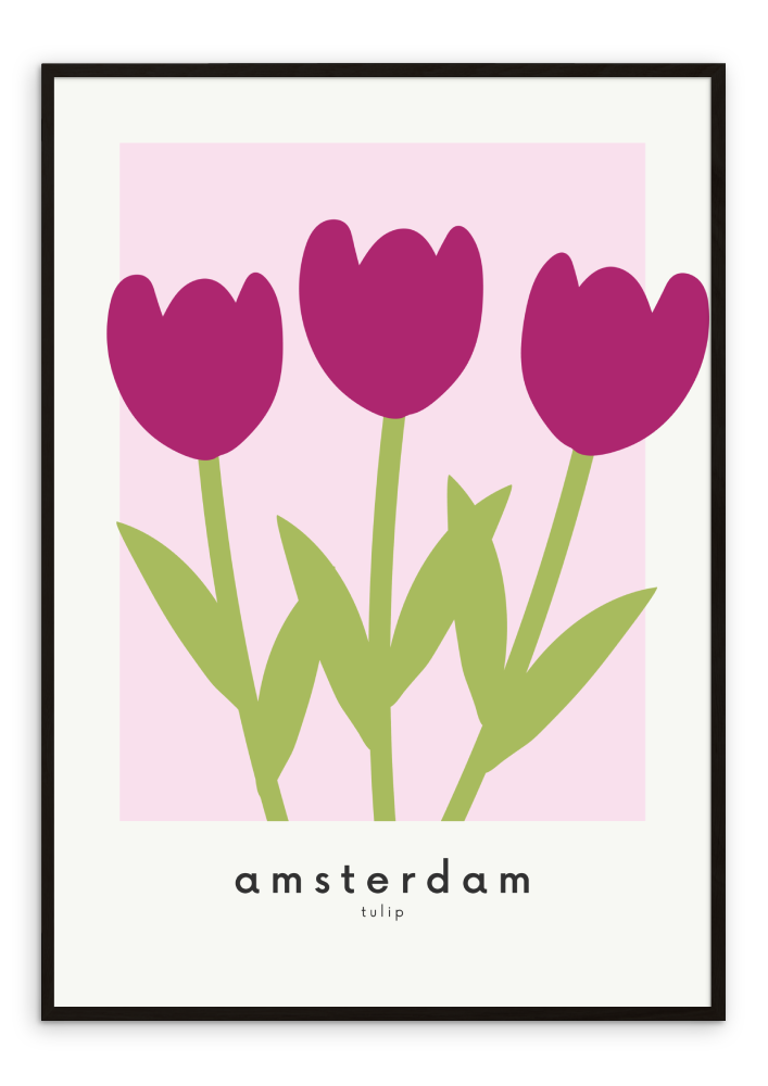 Amsterdam Flowers
